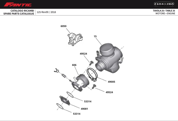 2oArXP1I8L_25 - moteur (CABALLERO 125 MY 2018 - SCRAMBLER).png